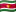 苏里南