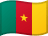 喀麦隆国旗