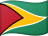 圭亚那国旗
